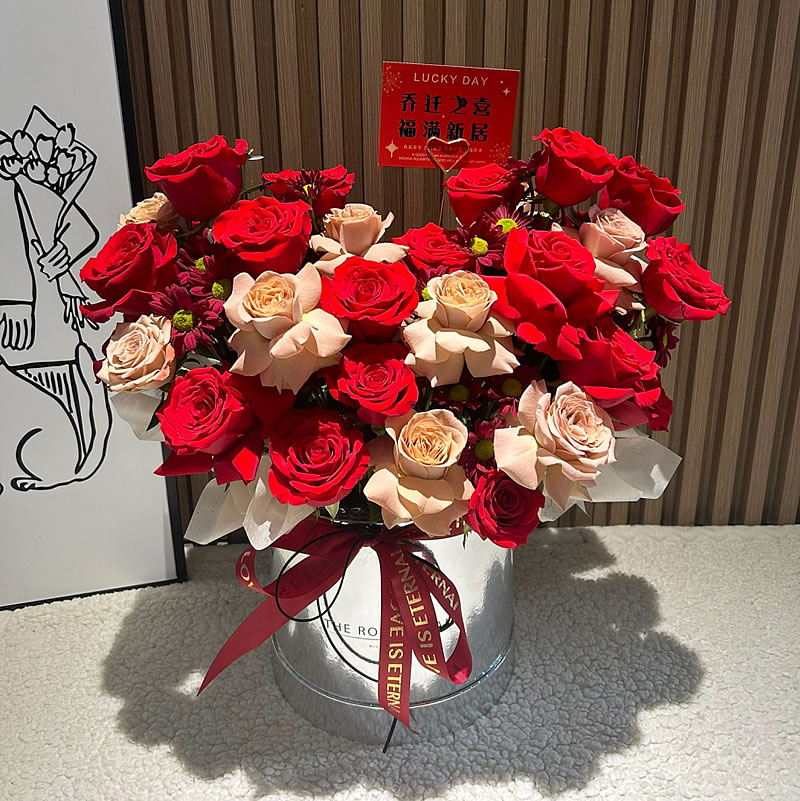 |mr-