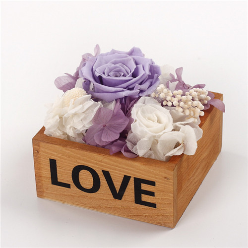 Rrrľlove\