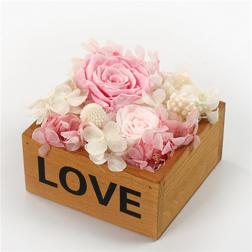 Rrrľlove\