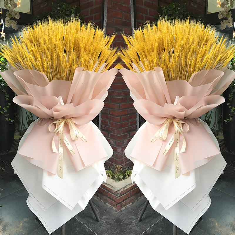 rQ u(΂)  ăݣӣɫb
